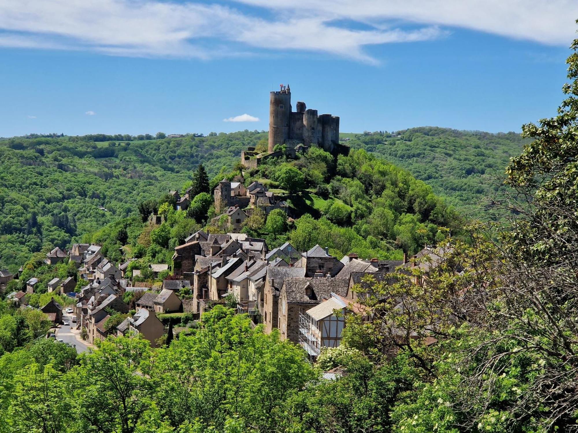 Gite La Baraque Najac Exterior foto